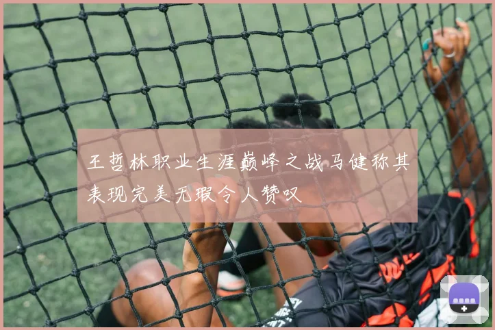 王哲林职业生涯巅峰之战马健称其表现完美无瑕令人赞叹